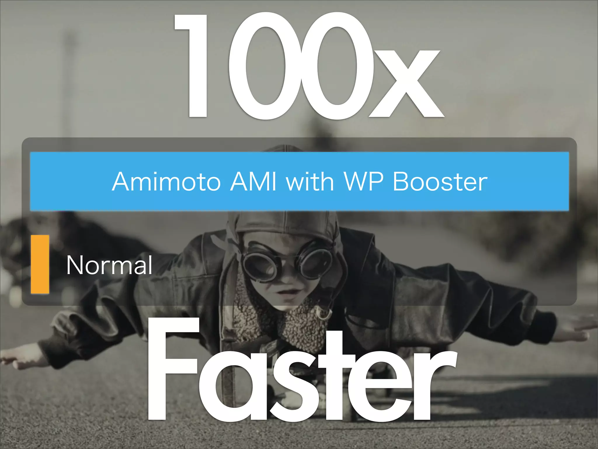 100x
Amimoto AMI with WP Booster
Normal
Faster