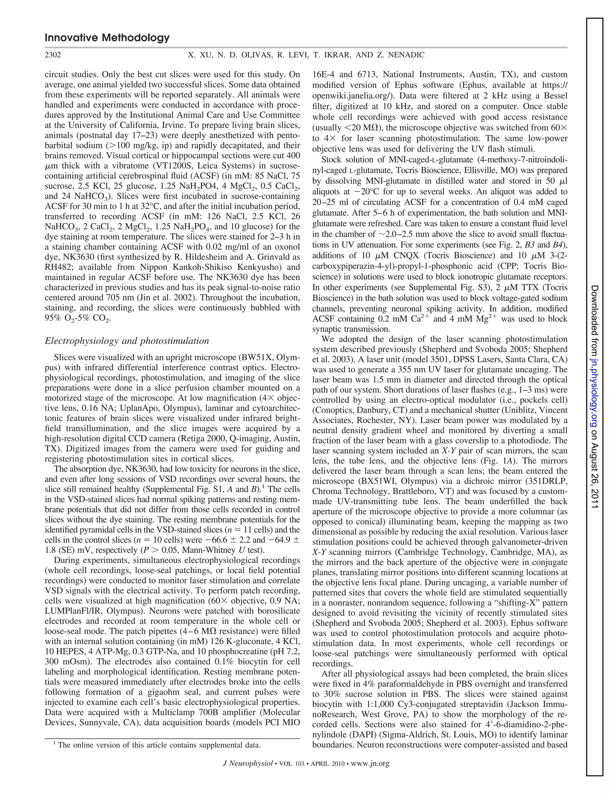 Innovative Methodology
2302                                         X. XU, N. D. OLIVAS, R. LEVI, T. IKRAR, AND Z. NENADIC

circuit studies. Only the best cut slices were used for this study. On              16E-4 and 6713, National Instruments, Austin, TX), and custom
average, one animal yielded two successful slices. Some data obtained               modiﬁed version of Ephus software (Ephus, available at https://
from these experiments will be reported separately. All animals were                openwiki.janelia.org/). Data were ﬁltered at 2 kHz using a Bessel
handled and experiments were conducted in accordance with proce-                    ﬁlter, digitized at 10 kHz, and stored on a computer. Once stable
dures approved by the Institutional Animal Care and Use Committee                   whole cell recordings were achieved with good access resistance
at the University of California, Irvine. To prepare living brain slices,            (usually 20 M ), the microscope objective was switched from 60
animals (postnatal day 17–23) were deeply anesthetized with pento-                  to 4 for laser scanning photostimulation. The same low-power
barbital sodium ( 100 mg/kg, ip) and rapidly decapitated, and their                 objective lens was used for delivering the UV ﬂash stimuli.
brains removed. Visual cortical or hippocampal sections were cut 400                   Stock solution of MNI-caged-L-glutamate (4-methoxy-7-nitroindoli-
  m thick with a vibratome (VT1200S, Leica Systems) in sucrose-
                                                                                    nyl-caged L-glutamate, Tocris Bioscience, Ellisville, MO) was prepared
containing artiﬁcial cerebrospinal ﬂuid (ACSF) (in mM: 85 NaCl, 75
                                                                                    by dissolving MNI-glutamate in distilled water and stored in 50 l
sucrose, 2.5 KCl, 25 glucose, 1.25 NaH2PO4, 4 MgCl2, 0.5 CaCl2,
and 24 NaHCO3). Slices were ﬁrst incubated in sucrose-containing                    aliquots at 20°C for up to several weeks. An aliquot was added to
ACSF for 30 min to 1 h at 32°C, and after the initial incubation period,            20 –25 ml of circulating ACSF for a concentration of 0.4 mM caged
transferred to recording ACSF (in mM: 126 NaCl, 2.5 KCl, 26                         glutamate. After 5– 6 h of experimentation, the bath solution and MNI-
NaHCO3, 2 CaCl2, 2 MgCl2, 1.25 NaH2PO4, and 10 glucose) for the                     glutamate were refreshed. Care was taken to ensure a constant ﬂuid level
dye staining at room temperature. The slices were stained for 2–3 h in              in the chamber of 2.0 –2.5 mm above the slice to avoid small ﬂuctua-
a staining chamber containing ACSF with 0.02 mg/ml of an oxonol                     tions in UV attenuation. For some experiments (see Fig. 2, B3 and B4),
dye, NK3630 (ﬁrst synthesized by R. Hildesheim and A. Grinvald as                   additions of 10 M CNQX (Tocris Bioscience) and 10 M 3-(2-
RH482; available from Nippon Kankoh-Shikiso Kenkyusho) and                          carboxypiperazin-4-yl)-propyl-1-phosphonic acid (CPP; Tocris Bio-
maintained in regular ACSF before use. The NK3630 dye has been                      science) in solutions were used to block ionotropic glutamate receptors.
characterized in previous studies and has its peak signal-to-noise ratio            In other experiments (see Supplemental Fig. S3), 2 M TTX (Tocris




                                                                                                                                                                Downloaded from jn.physiology.org on August 26, 2011
centered around 705 nm (Jin et al. 2002). Throughout the incubation,                Bioscience) in the bath solution was used to block voltage-gated sodium
staining, and recording, the slices were continuously bubbled with                  channels, preventing neuronal spiking activity. In addition, modiﬁed
95% O2-5% CO2.                                                                      ACSF containing 0.2 mM Ca2 and 4 mM Mg2 was used to block
                                                                                    synaptic transmission.
Electrophysiology and photostimulation                                                 We adopted the design of the laser scanning photostimulation
                                                                                    system described previously (Shepherd and Svoboda 2005; Shepherd
   Slices were visualized with an upright microscope (BW51X, Olym-                  et al. 2003). A laser unit (model 3501, DPSS Lasers, Santa Clara, CA)
pus) with infrared differential interference contrast optics. Electro-              was used to generate a 355 nm UV laser for glutamate uncaging. The
physiological recordings, photostimulation, and imaging of the slice                laser beam was 1.5 mm in diameter and directed through the optical
preparations were done in a slice perfusion chamber mounted on a                    path of our system. Short durations of laser ﬂashes (e.g., 1–3 ms) were
motorized stage of the microscope. At low magniﬁcation (4 objec-                    controlled by using an electro-optical modulator (i.e., pockels cell)
tive lens, 0.16 NA; UplanApo, Olympus), laminar and cytoarchitec-                   (Conoptics, Danbury, CT) and a mechanical shutter (Uniblitz, Vincent
tonic features of brain slices were visualized under infrared bright-               Associates, Rochester, NY). Laser beam power was modulated by a
ﬁeld transillumination, and the slice images were acquired by a                     neutral density gradient wheel and monitored by diverting a small
high-resolution digital CCD camera (Retiga 2000, Q-imaging, Austin,                 fraction of the laser beam with a glass coverslip to a photodiode. The
TX). Digitized images from the camera were used for guiding and                     laser scanning system included an X-Y pair of scan mirrors, the scan
registering photostimulation sites in cortical slices.                              lens, the tube lens, and the objective lens (Fig. 1A). The mirrors
   The absorption dye, NK3630, had low toxicity for neurons in the slice,           delivered the laser beam through a scan lens; the beam entered the
and even after long sessions of VSD recordings over several hours, the              microscope (BX51WI, Olympus) via a dichroic mirror (351DRLP,
slice still remained healthy (Supplemental Fig. S1, A and B).1 The cells            Chroma Technology, Brattleboro, VT) and was focused by a custom-
in the VSD-stained slices had normal spiking patterns and resting mem-              made UV-transmitting tube lens. The beam underﬁlled the back
brane potentials that did not differ from those cells recorded in control           aperture of the microscope objective to provide a more columnar (as
slices without the dye staining. The resting membrane potentials for the            opposed to conical) illuminating beam, keeping the mapping as two
identiﬁed pyramidal cells in the VSD-stained slices (n 11 cells) and the            dimensional as possible by reducing the axial resolution. Various laser
cells in the control slices (n 10 cells) were 66.6 2.2 and 64.9                     stimulation positions could be achieved through galvanometer-driven
1.8 (SE) mV, respectively (P 0.05, Mann-Whitney U test).                            X-Y scanning mirrors (Cambridge Technology, Cambridge, MA), as
   During experiments, simultaneous electrophysiological recordings                 the mirrors and the back aperture of the objective were in conjugate
(whole cell recordings, loose-seal patchings, or local ﬁeld potential               planes, translating mirror positions into different scanning locations at
recordings) were conducted to monitor laser stimulation and correlate               the objective lens focal plane. During uncaging, a variable number of
VSD signals with the electrical activity. To perform patch recording,               patterned sites that covers the whole ﬁeld are stimulated sequentially
cells were visualized at high magniﬁcation (60 objective, 0.9 NA;                   in a nonraster, nonrandom sequence, following a “shifting-X” pattern
LUMPlanFl/IR, Olympus). Neurons were patched with borosilicate                      designed to avoid revisiting the vicinity of recently stimulated sites
electrodes and recorded at room temperature in the whole cell or                    (Shepherd and Svoboda 2005; Shepherd et al. 2003). Ephus software
loose-seal mode. The patch pipettes (4 – 6 M resistance) were ﬁlled                 was used to control photostimulation protocols and acquire photo-
with an internal solution containing (in mM) 126 K-gluconate, 4 KCl,                stimulation data. In most experiments, whole cell recordings or
10 HEPES, 4 ATP-Mg, 0.3 GTP-Na, and 10 phosphocreatine (pH 7.2,                     loose-seal patchings were simultaneously performed with optical
300 mOsm). The electrodes also contained 0.1% biocytin for cell                     recordings.
labeling and morphological identiﬁcation. Resting membrane poten-                      After all physiological assays had been completed, the brain slices
tials were measured immediately after electrodes broke into the cells               were ﬁxed in 4% paraformaldehyde in PBS overnight and transferred
following formation of a gigaohm seal, and current pulses were                      to 30% sucrose solution in PBS. The slices were stained against
injected to examine each cell’s basic electrophysiological properties.              biocytin with 1:1,000 Cy3-conjugated streptavidin (Jackson Immu-
Data were acquired with a Multiclamp 700B ampliﬁer (Molecular                       noResearch, West Grove, PA) to show the morphology of the re-
Devices, Sunnyvale, CA), data acquisition boards (models PCI MIO                    corded cells. Sections were also stained for 4 -6-diamidino-2-phe-
                                                                                    nylindole (DAPI) (Sigma-Aldrich, St. Louis, MO) to identify laminar
  1
      The online version of this article contains supplemental data.                boundaries. Neuron reconstructions were computer-assisted and based

                                                        J Neurophysiol • VOL   103 • APRIL 2010 •   www.jn.org
 