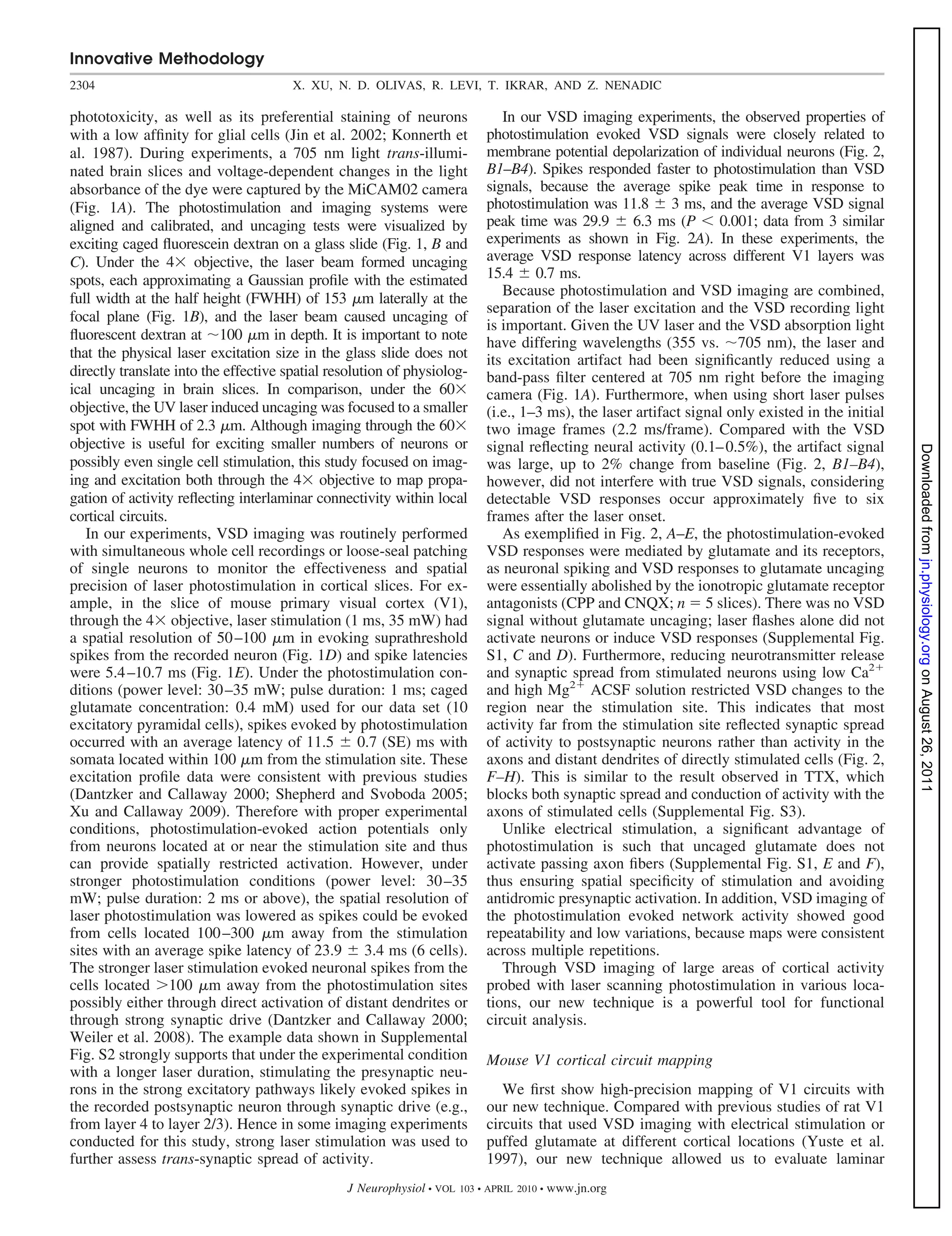 Innovative Methodology
2304                                   X. XU, N. D. OLIVAS, R. LEVI, T. IKRAR, AND Z. NENADIC

phototoxicity, as well as its preferential staining of neurons                 In our VSD imaging experiments, the observed properties of
with a low afﬁnity for glial cells (Jin et al. 2002; Konnerth et            photostimulation evoked VSD signals were closely related to
al. 1987). During experiments, a 705 nm light trans-illumi-                 membrane potential depolarization of individual neurons (Fig. 2,
nated brain slices and voltage-dependent changes in the light               B1–B4). Spikes responded faster to photostimulation than VSD
absorbance of the dye were captured by the MiCAM02 camera                   signals, because the average spike peak time in response to
(Fig. 1A). The photostimulation and imaging systems were                    photostimulation was 11.8 3 ms, and the average VSD signal
aligned and calibrated, and uncaging tests were visualized by               peak time was 29.9       6.3 ms (P      0.001; data from 3 similar
exciting caged ﬂuorescein dextran on a glass slide (Fig. 1, B and           experiments as shown in Fig. 2A). In these experiments, the
C). Under the 4 objective, the laser beam formed uncaging                   average VSD response latency across different V1 layers was
spots, each approximating a Gaussian proﬁle with the estimated              15.4 0.7 ms.
full width at the half height (FWHH) of 153 m laterally at the                 Because photostimulation and VSD imaging are combined,
                                                                            separation of the laser excitation and the VSD recording light
focal plane (Fig. 1B), and the laser beam caused uncaging of
                                                                            is important. Given the UV laser and the VSD absorption light
ﬂuorescent dextran at 100 m in depth. It is important to note
                                                                            have differing wavelengths (355 vs. 705 nm), the laser and
that the physical laser excitation size in the glass slide does not         its excitation artifact had been signiﬁcantly reduced using a
directly translate into the effective spatial resolution of physiolog-      band-pass ﬁlter centered at 705 nm right before the imaging
ical uncaging in brain slices. In comparison, under the 60                  camera (Fig. 1A). Furthermore, when using short laser pulses
objective, the UV laser induced uncaging was focused to a smaller           (i.e., 1–3 ms), the laser artifact signal only existed in the initial
spot with FWHH of 2.3 m. Although imaging through the 60                    two image frames (2.2 ms/frame). Compared with the VSD
objective is useful for exciting smaller numbers of neurons or              signal reﬂecting neural activity (0.1– 0.5%), the artifact signal




                                                                                                                                                    Downloaded from jn.physiology.org on August 26, 2011
possibly even single cell stimulation, this study focused on imag-          was large, up to 2% change from baseline (Fig. 2, B1–B4),
ing and excitation both through the 4 objective to map propa-               however, did not interfere with true VSD signals, considering
gation of activity reﬂecting interlaminar connectivity within local         detectable VSD responses occur approximately ﬁve to six
cortical circuits.                                                          frames after the laser onset.
   In our experiments, VSD imaging was routinely performed                     As exempliﬁed in Fig. 2, A–E, the photostimulation-evoked
with simultaneous whole cell recordings or loose-seal patching              VSD responses were mediated by glutamate and its receptors,
of single neurons to monitor the effectiveness and spatial                  as neuronal spiking and VSD responses to glutamate uncaging
precision of laser photostimulation in cortical slices. For ex-             were essentially abolished by the ionotropic glutamate receptor
ample, in the slice of mouse primary visual cortex (V1),                    antagonists (CPP and CNQX; n 5 slices). There was no VSD
through the 4 objective, laser stimulation (1 ms, 35 mW) had                signal without glutamate uncaging; laser ﬂashes alone did not
a spatial resolution of 50 –100 m in evoking suprathreshold                 activate neurons or induce VSD responses (Supplemental Fig.
spikes from the recorded neuron (Fig. 1D) and spike latencies               S1, C and D). Furthermore, reducing neurotransmitter release
were 5.4 –10.7 ms (Fig. 1E). Under the photostimulation con-                and synaptic spread from stimulated neurons using low Ca2
ditions (power level: 30 –35 mW; pulse duration: 1 ms; caged                and high Mg2 ACSF solution restricted VSD changes to the
glutamate concentration: 0.4 mM) used for our data set (10                  region near the stimulation site. This indicates that most
excitatory pyramidal cells), spikes evoked by photostimulation              activity far from the stimulation site reﬂected synaptic spread
occurred with an average latency of 11.5 0.7 (SE) ms with                   of activity to postsynaptic neurons rather than activity in the
somata located within 100 m from the stimulation site. These                axons and distant dendrites of directly stimulated cells (Fig. 2,
excitation proﬁle data were consistent with previous studies                F–H). This is similar to the result observed in TTX, which
(Dantzker and Callaway 2000; Shepherd and Svoboda 2005;                     blocks both synaptic spread and conduction of activity with the
Xu and Callaway 2009). Therefore with proper experimental                   axons of stimulated cells (Supplemental Fig. S3).
conditions, photostimulation-evoked action potentials only                     Unlike electrical stimulation, a signiﬁcant advantage of
from neurons located at or near the stimulation site and thus               photostimulation is such that uncaged glutamate does not
can provide spatially restricted activation. However, under                 activate passing axon ﬁbers (Supplemental Fig. S1, E and F),
stronger photostimulation conditions (power level: 30 –35                   thus ensuring spatial speciﬁcity of stimulation and avoiding
mW; pulse duration: 2 ms or above), the spatial resolution of               antidromic presynaptic activation. In addition, VSD imaging of
laser photostimulation was lowered as spikes could be evoked                the photostimulation evoked network activity showed good
from cells located 100 –300 m away from the stimulation                     repeatability and low variations, because maps were consistent
sites with an average spike latency of 23.9 3.4 ms (6 cells).               across multiple repetitions.
The stronger laser stimulation evoked neuronal spikes from the                 Through VSD imaging of large areas of cortical activity
cells located 100 m away from the photostimulation sites                    probed with laser scanning photostimulation in various loca-
possibly either through direct activation of distant dendrites or           tions, our new technique is a powerful tool for functional
through strong synaptic drive (Dantzker and Callaway 2000;                  circuit analysis.
Weiler et al. 2008). The example data shown in Supplemental
Fig. S2 strongly supports that under the experimental condition             Mouse V1 cortical circuit mapping
with a longer laser duration, stimulating the presynaptic neu-
rons in the strong excitatory pathways likely evoked spikes in                 We ﬁrst show high-precision mapping of V1 circuits with
the recorded postsynaptic neuron through synaptic drive (e.g.,              our new technique. Compared with previous studies of rat V1
from layer 4 to layer 2/3). Hence in some imaging experiments               circuits that used VSD imaging with electrical stimulation or
conducted for this study, strong laser stimulation was used to              puffed glutamate at different cortical locations (Yuste et al.
further assess trans-synaptic spread of activity.                           1997), our new technique allowed us to evaluate laminar
                                                J Neurophysiol • VOL   103 • APRIL 2010 •   www.jn.org
 