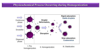 Physicochemical Process Occurring during Homogenization
 