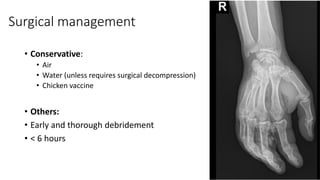 High pressure injection injuries Dr Sean Nicklin | PDF