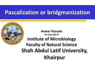 Pascalization or bridgmanization
Anwar Hussain
For Class BS-IV
Institute of Microbiology
Faculty of Natural Science
Shah Abdul Latif University,
Khairpur
 