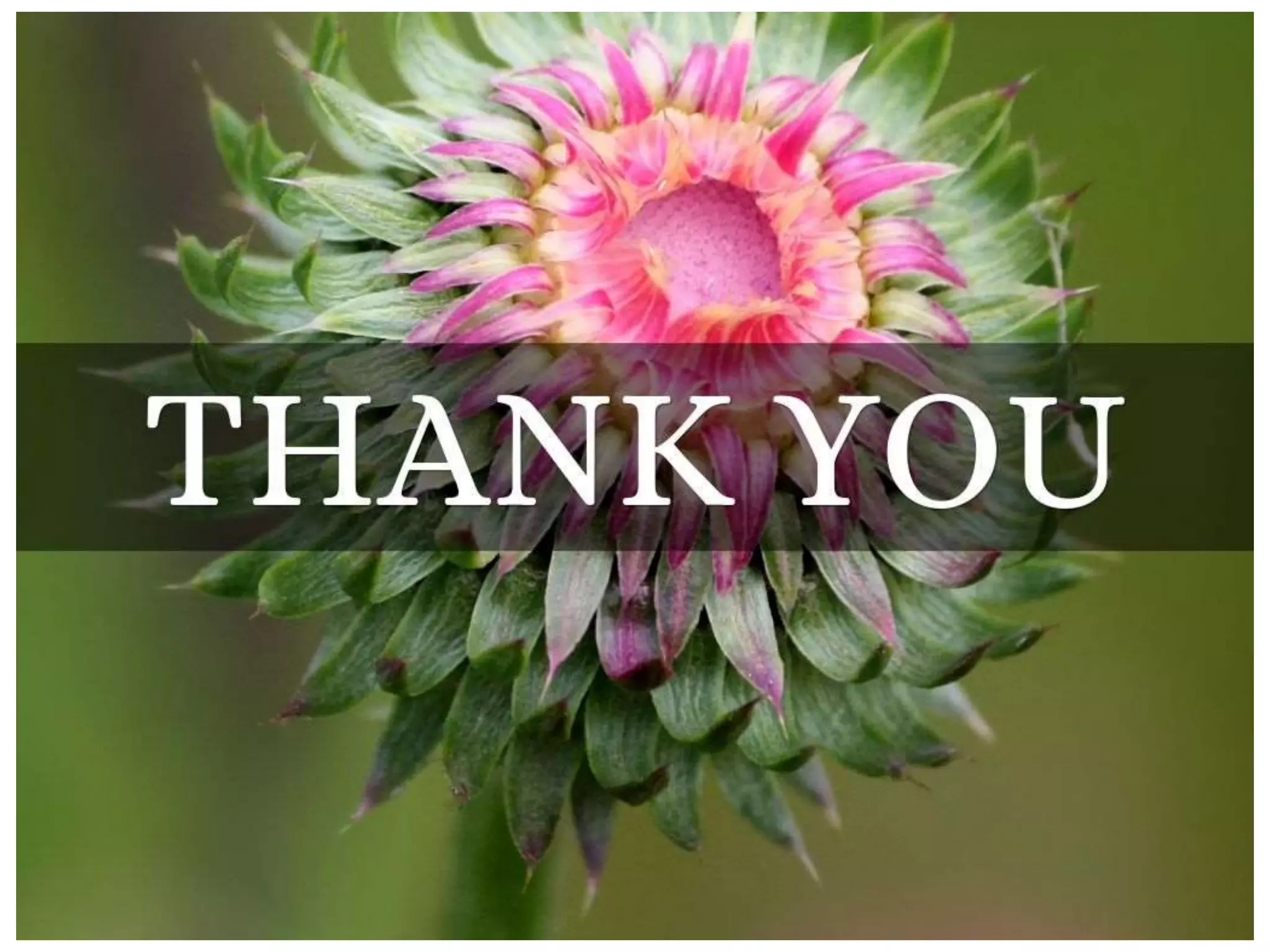 High Pressure Processing (HPP)