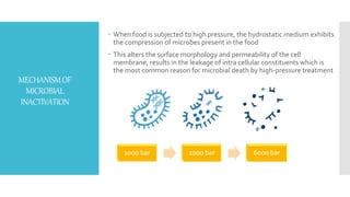 MECHANISMOF
MICROBIAL
INACTIVATION
 When food is subjected to high pressure, the hydrostatic medium exhibits
the compression of microbes present in the food
 This alters the surface morphology and permeability of the cell
membrane, results in the leakage of intra cellular constituents which is
the most common reason for microbial death by high-pressure treatment
1000 bar 2000 bar 6000 bar
 