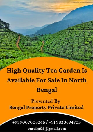 High Quality Tea Garden Is
Available For Sale In North
Bengal
Presented By
+91 9007008366 / +91 9830694705
Bengal Property Private Limited
 