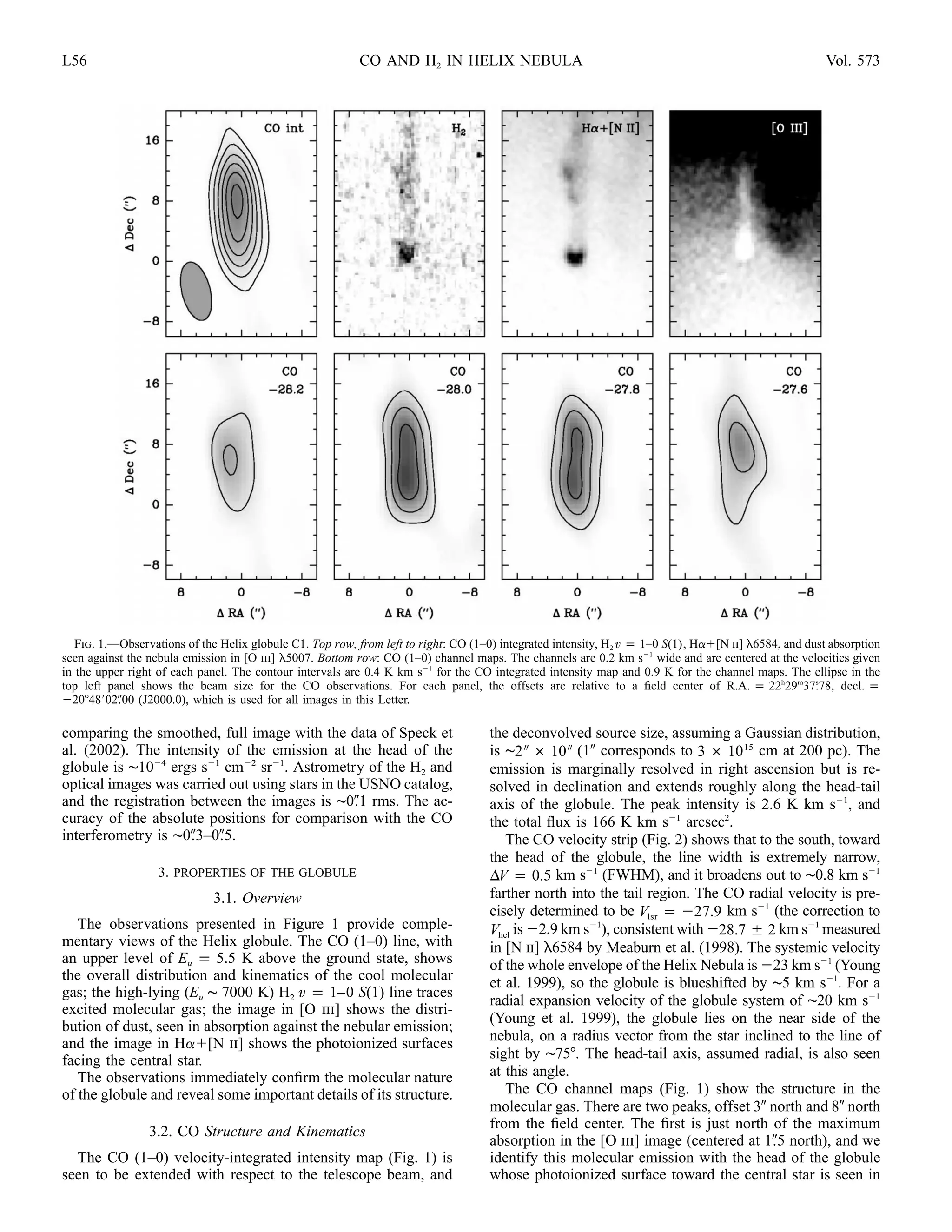 L56                                                        CO AND H2 IN HELIX NEBULA                                                                    Vol. 573




   Fig. 1.—Observations of the Helix globule C1. Top row, from left to right: CO (1–0) integrated intensity, H2 v p 1–0 S(1) , Ha [N ii] l6584, and dust absorption
seen against the nebula emission in [O iii] l5007. Bottom row: CO (1–0) channel maps. The channels are 0.2 km s 1 wide and are centered at the velocities given
in the upper right of each panel. The contour intervals are 0.4 K km s 1 for the CO integrated intensity map and 0.9 K for the channel maps. The ellipse in the
top left panel shows the beam size for the CO observations. For each panel, the offsets are relative to a ﬁeld center of R.A. p 22h29m37.78, decl. p  s

  20 48 02.00 (J2000.0), which is used for all images in this Letter.

comparing the smoothed, full image with the data of Speck et                         the deconvolved source size, assuming a Gaussian distribution,
al. (2002). The intensity of the emission at the head of the                         is ∼2 # 10 (1 corresponds to 3 # 10 15 cm at 200 pc). The
globule is ∼10 4 ergs s 1 cm 2 sr 1. Astrometry of the H2 and                        emission is marginally resolved in right ascension but is re-
optical images was carried out using stars in the USNO catalog,                      solved in declination and extends roughly along the head-tail
and the registration between the images is ∼0.1 rms. The ac-                         axis of the globule. The peak intensity is 2.6 K km s 1, and
curacy of the absolute positions for comparison with the CO                          the total ﬂux is 166 K km s 1 arcsec2.
interferometry is ∼0.3–0.5.                                                             The CO velocity strip (Fig. 2) shows that to the south, toward
                                                                                     the head of the globule, the line width is extremely narrow,
                   3. PROPERTIES OF THE GLOBULE                                      DV p 0.5 km s 1 (FWHM), and it broadens out to ∼0.8 km s 1
                              3.1. Overview                                          farther north into the tail region. The CO radial velocity is pre-
                                                                                     cisely determined to be Vlsr p 27.9 km s 1 (the correction to
   The observations presented in Figure 1 provide comple-                            Vhel is 2.9 km s 1), consistent with 28.7 2 km s 1 measured
mentary views of the Helix globule. The CO (1–0) line, with                          in [N ii] l6584 by Meaburn et al. (1998). The systemic velocity
an upper level of Eu p 5.5 K above the ground state, shows                           of the whole envelope of the Helix Nebula is 23 km s 1 (Young
the overall distribution and kinematics of the cool molecular                        et al. 1999), so the globule is blueshifted by ∼5 km s 1. For a
gas; the high-lying (Eu ∼ 7000 K) H2 v p 1–0 S(1) line traces
                                                                                     radial expansion velocity of the globule system of ∼20 km s 1
excited molecular gas; the image in [O iii] shows the distri-
                                                                                     (Young et al. 1999), the globule lies on the near side of the
bution of dust, seen in absorption against the nebular emission;
and the image in Ha [N ii] shows the photoionized surfaces                           nebula, on a radius vector from the star inclined to the line of
facing the central star.                                                             sight by ∼75 . The head-tail axis, assumed radial, is also seen
   The observations immediately conﬁrm the molecular nature                          at this angle.
of the globule and reveal some important details of its structure.                      The CO channel maps (Fig. 1) show the structure in the
                                                                                     molecular gas. There are two peaks, offset 3 north and 8 north
                                                                                     from the ﬁeld center. The ﬁrst is just north of the maximum
                 3.2. CO Structure and Kinematics
                                                                                     absorption in the [O iii] image (centered at 1.5 north), and we
  The CO (1–0) velocity-integrated intensity map (Fig. 1) is                         identify this molecular emission with the head of the globule
seen to be extended with respect to the telescope beam, and                          whose photoionized surface toward the central star is seen in
 