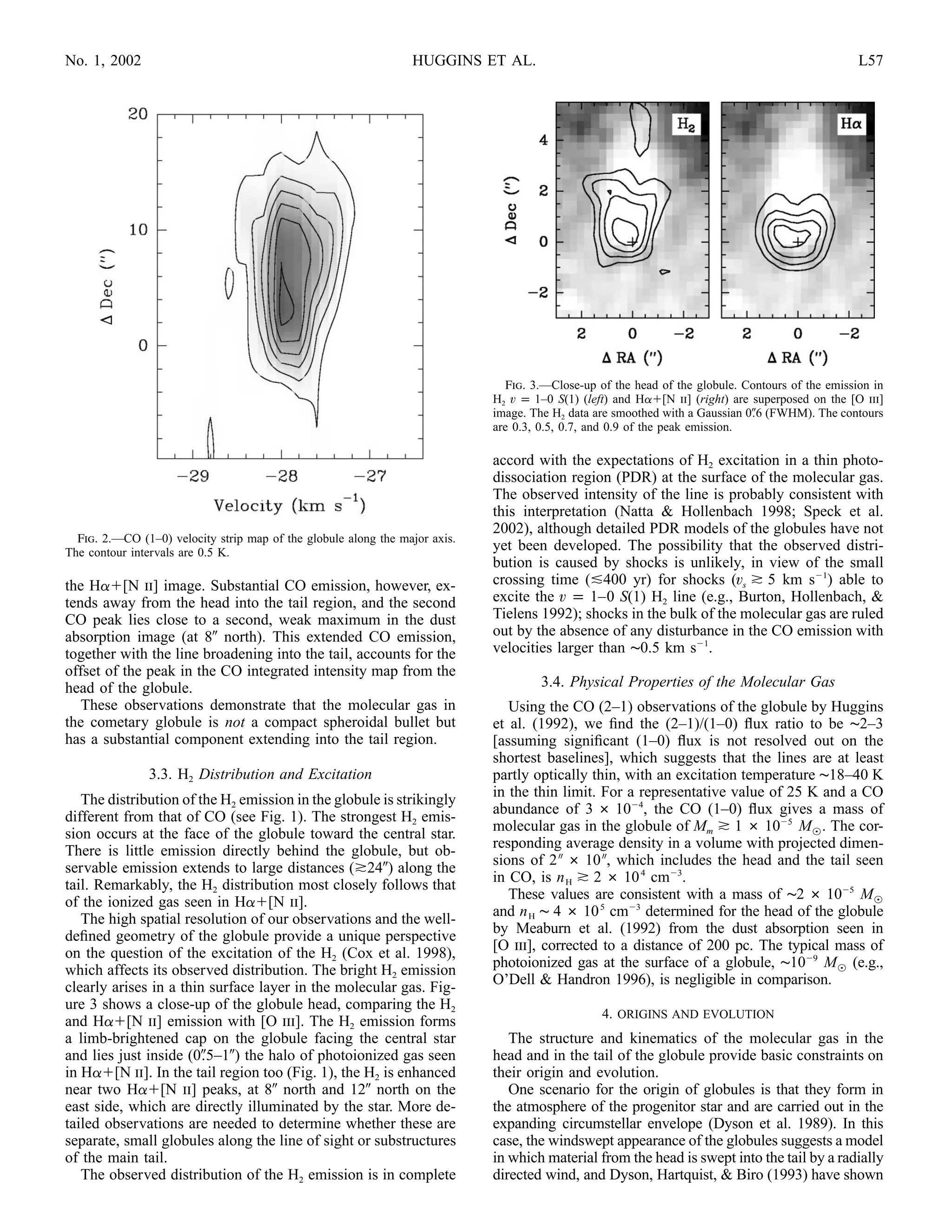 No. 1, 2002                                                      HUGGINS ET AL.                                                                    L57




                                                                                Fig. 3.—Close-up of the head of the globule. Contours of the emission in
                                                                             H2 v p 1–0 S(1) (left) and Ha [N ii] (right) are superposed on the [O iii]
                                                                             image. The H2 data are smoothed with a Gaussian 0.6 (FWHM). The contours
                                                                             are 0.3, 0.5, 0.7, and 0.9 of the peak emission.

                                                                             accord with the expectations of H2 excitation in a thin photo-
                                                                             dissociation region (PDR) at the surface of the molecular gas.
                                                                             The observed intensity of the line is probably consistent with
                                                                             this interpretation (Natta & Hollenbach 1998; Speck et al.
                                                                             2002), although detailed PDR models of the globules have not
  Fig. 2.—CO (1–0) velocity strip map of the globule along the major axis.
The contour intervals are 0.5 K.
                                                                             yet been developed. The possibility that the observed distri-
                                                                             bution is caused by shocks is unlikely, in view of the small
the Ha [N ii] image. Substantial CO emission, however, ex-                   crossing time ( 400 yr) for shocks (vs 5 km s 1) able to
tends away from the head into the tail region, and the second                excite the v p 1–0 S(1) H2 line (e.g., Burton, Hollenbach, &
CO peak lies close to a second, weak maximum in the dust                     Tielens 1992); shocks in the bulk of the molecular gas are ruled
absorption image (at 8 north). This extended CO emission,                    out by the absence of any disturbance in the CO emission with
together with the line broadening into the tail, accounts for the            velocities larger than ∼0.5 km s 1.
offset of the peak in the CO integrated intensity map from the
head of the globule.                                                                  3.4. Physical Properties of the Molecular Gas
   These observations demonstrate that the molecular gas in                     Using the CO (2–1) observations of the globule by Huggins
the cometary globule is not a compact spheroidal bullet but                  et al. (1992), we ﬁnd the (2–1)/(1–0) ﬂux ratio to be ∼2–3
has a substantial component extending into the tail region.                  [assuming signiﬁcant (1–0) ﬂux is not resolved out on the
                                                                             shortest baselines], which suggests that the lines are at least
               3.3. H2 Distribution and Excitation                           partly optically thin, with an excitation temperature ∼18–40 K
                                                                             in the thin limit. For a representative value of 25 K and a CO
   The distribution of the H2 emission in the globule is strikingly
different from that of CO (see Fig. 1). The strongest H2 emis-               abundance of 3 # 10 4, the CO (1–0) ﬂux gives a mass of
                                                                             molecular gas in the globule of Mm 1 # 10 5 M,. The cor-
sion occurs at the face of the globule toward the central star.
There is little emission directly behind the globule, but ob-                responding average density in a volume with projected dimen-
servable emission extends to large distances ( 24 ) along the                sions of 2 # 10 , which includes the head and the tail seen
                                                                             in CO, is n H 2 # 10 4 cm 3.
tail. Remarkably, the H2 distribution most closely follows that
of the ionized gas seen in Ha [N ii].                                           These values are consistent with a mass of ∼2 # 10 5 M,
   The high spatial resolution of our observations and the well-             and n H ∼ 4 # 10 5 cm 3 determined for the head of the globule
deﬁned geometry of the globule provide a unique perspective                  by Meaburn et al. (1992) from the dust absorption seen in
on the question of the excitation of the H2 (Cox et al. 1998),               [O iii], corrected to a distance of 200 pc. The typical mass of
which affects its observed distribution. The bright H2 emission              photoionized gas at the surface of a globule, ∼10 9 M, (e.g.,
clearly arises in a thin surface layer in the molecular gas. Fig-            O’Dell & Handron 1996), is negligible in comparison.
ure 3 shows a close-up of the globule head, comparing the H2
                                                                                                 4. ORIGINS AND EVOLUTION
and Ha [N ii] emission with [O iii]. The H2 emission forms
a limb-brightened cap on the globule facing the central star                    The structure and kinematics of the molecular gas in the
and lies just inside (0.5–1 ) the halo of photoionized gas seen              head and in the tail of the globule provide basic constraints on
in Ha [N ii]. In the tail region too (Fig. 1), the H2 is enhanced            their origin and evolution.
near two Ha [N ii] peaks, at 8 north and 12 north on the                        One scenario for the origin of globules is that they form in
east side, which are directly illuminated by the star. More de-              the atmosphere of the progenitor star and are carried out in the
tailed observations are needed to determine whether these are                expanding circumstellar envelope (Dyson et al. 1989). In this
separate, small globules along the line of sight or substructures            case, the windswept appearance of the globules suggests a model
of the main tail.                                                            in which material from the head is swept into the tail by a radially
   The observed distribution of the H2 emission is in complete               directed wind, and Dyson, Hartquist, & Biro (1993) have shown
 