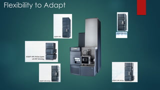 Flexibility to Adapt
 