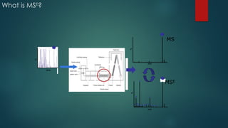 What is MSE
?
time
MS
%
m/z
MSE
%
m/z
%
time
MS
%
m/z
MSE
%
m/z
%
time
MS
%
m/z
MSE
%
m/z
%
time
MS
%
m/z
MSE
%
m/z
%
 