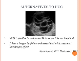 ALTERNATIVES TO HCG hCG is similar in action to LH however it is not identical.  It has a longer half-time and associated with sustained luteotropic effect. (Itskovitz et al., 1991; Haning et al., 1985) 