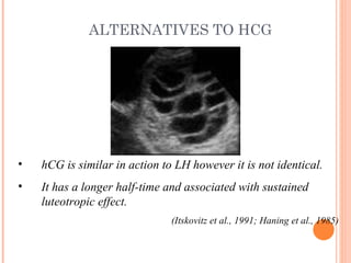 <ul><li>ALTERNATIVES TO HCG </li></ul><ul><li>hCG is similar in action to LH however it is not identical.  </li></ul><ul><...