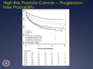 High Risk Prostate Cancer –  Progression-Free Probability