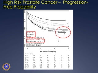 High Risk Prostate Cancer –  Progression-Free Probability