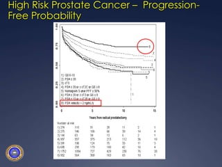 High Risk Prostate Cancer –  Progression-Free Probability
