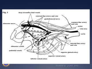 Studeret al.  J Urol, 2002.