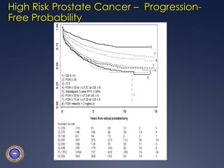 High Risk Prostate Cancer –  Progression-Free Probability,[object Object]