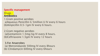 ◦
Specific management
Drugs :
Antibiotics
1.Gram positive aerobes
a)Aqueous Penicillin G 5million U IV every 6 hours
(b)Ampicillin 0.5-1gm IV every 6 hours.
2.Gram negative aerobes
(a)Gentamicin 1.5mg/kg IV every 8 hours.
(b)Ceftriaxone 1.5gm IV every 12 hours
3.For Anaerobes
(a) Metronidazole 500mg IV every 8hours
(b) Clindamycin 600mg IV every 6hours
 