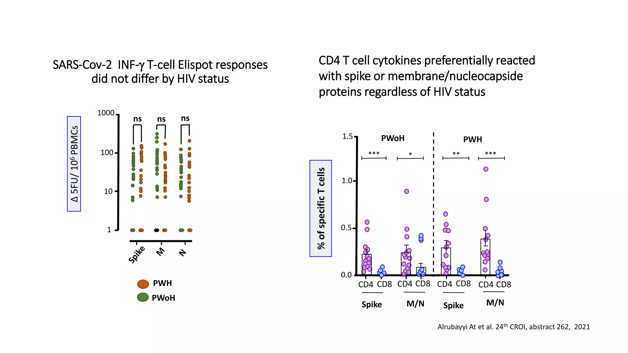 SARS-Cov-2 INF-g T-cell Elispot responses
did not differ by HIV status
∆
5FU/
10
6
PBMCs
%
of
specific
T
cells
CD4 T cell cytokines preferentially reacted
with spike or membrane/nucleocapside
proteins regardless of HIV status
ns ns ns
PWoH
PWH
100
10
1000
1
*** *
PWoH PWH
0.0
0.5
1.5
1.0
CD4 CD4 CD4 CD4
CD8 CD8 CD8 CD8
Spike Spike
M/N M/N
***
**
Alrubayyi At et al. 24th CROI, abstract 262, 2021
 