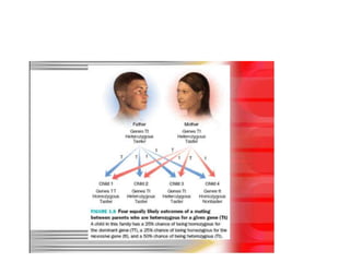 Biological Basis of Behavior | PPTX