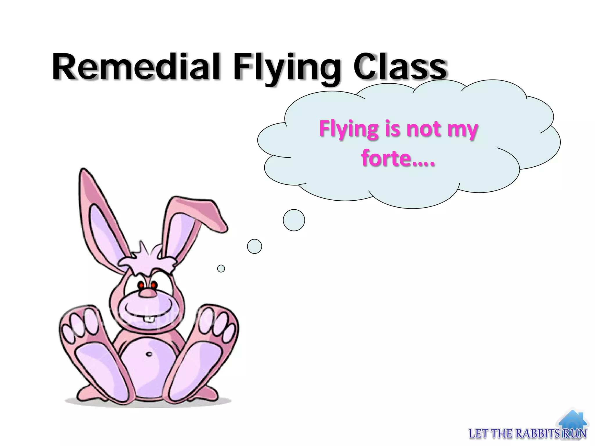 Remedial Flying Class
              Flying is not my
                   forte….
 