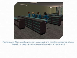 The Science Club usually works on Homework and creates experiments here.
There is actually more than one science lab in the school.
 