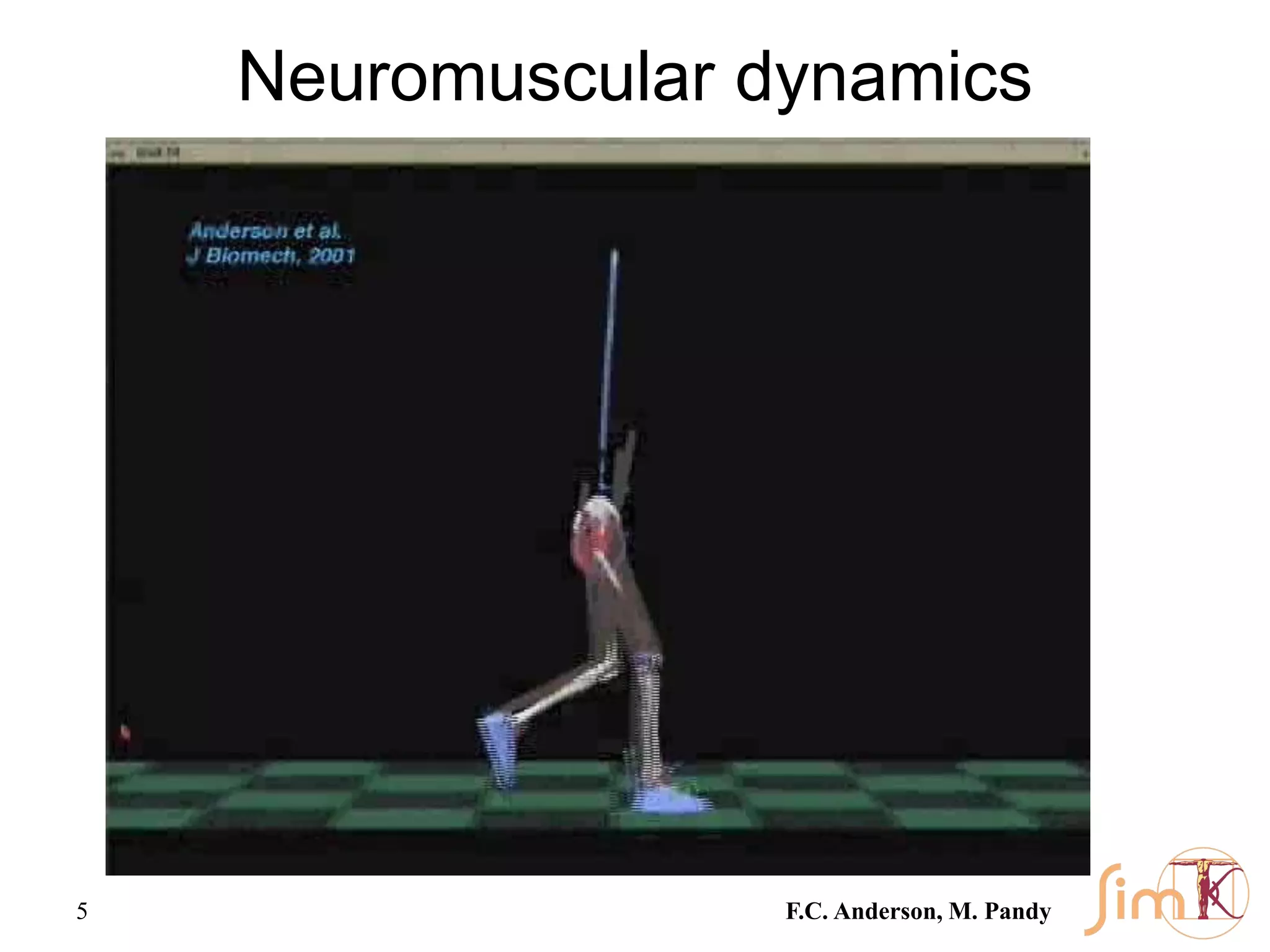 5
Neuromuscular dynamics
F.C. Anderson, M. Pandy
 