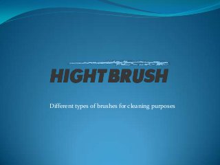 Different types of brushes for cleaning purposes
 