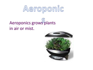 Aeroponics Aeroponics grows plants in air or mist.  