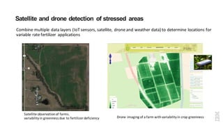Satellite and drone detection of stressed areas
Satellite	observation	of	farms.
variability	in	greenness	due	to	fertilizer	deficiency
Combine	multiple	data	layers	(IoT	sensors,	satellite,	drone	and	weather	data)	to	determine	locations	for	
variable	rate	fertilizer	 applications
Drone	imaging	of	a	farm	with	variability	in	crop	greenness
 