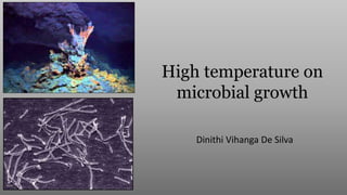 High temperature on
microbial growth
Dinithi Vihanga De Silva
 