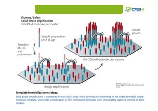 High throughput genotyping e next generation sequencing | PDF