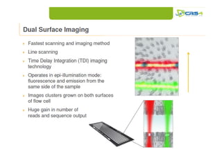 High throughput genotyping e next generation sequencing | PDF