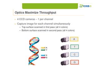 High throughput genotyping e next generation sequencing | PDF