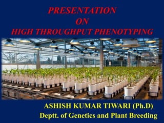 PRESENTATION
ON
HIGH THROUGHPUT PHENOTYPING
ASHISH KUMAR TIWARI (Ph.D)
Deptt. of Genetics and Plant Breeding
 