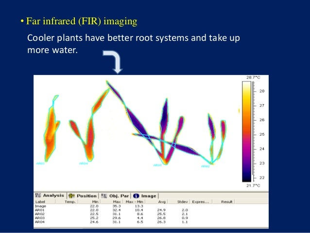 High Throughput Phenotyping