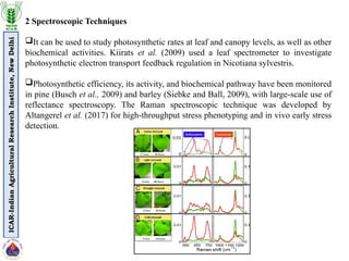 Spectroscopic Pathway High Throughput Phenotyping Using NIR Sensor .pptx
