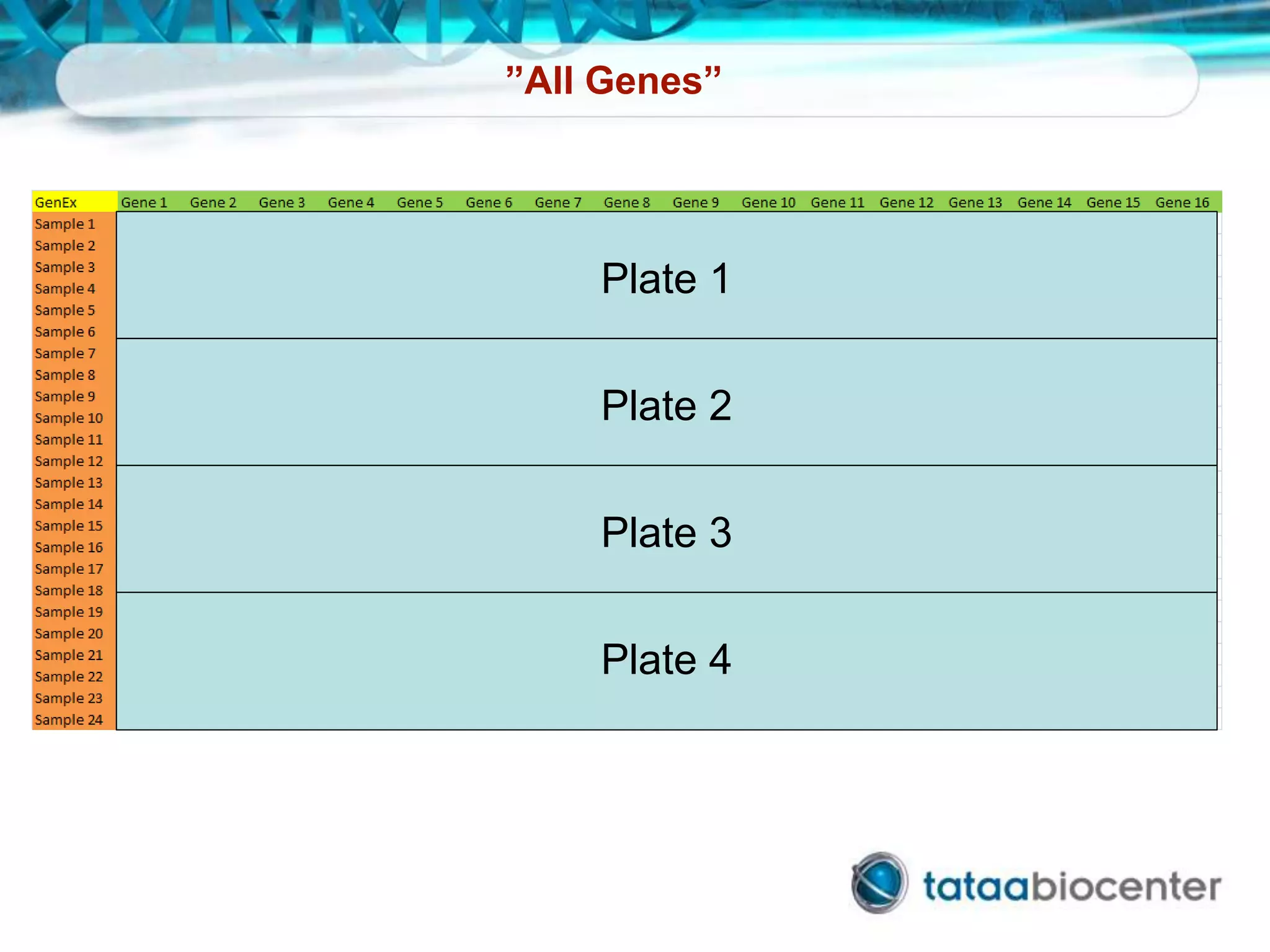 ”All Genes”
Plate 1
Plate 2
Plate 3
Plate 4
 