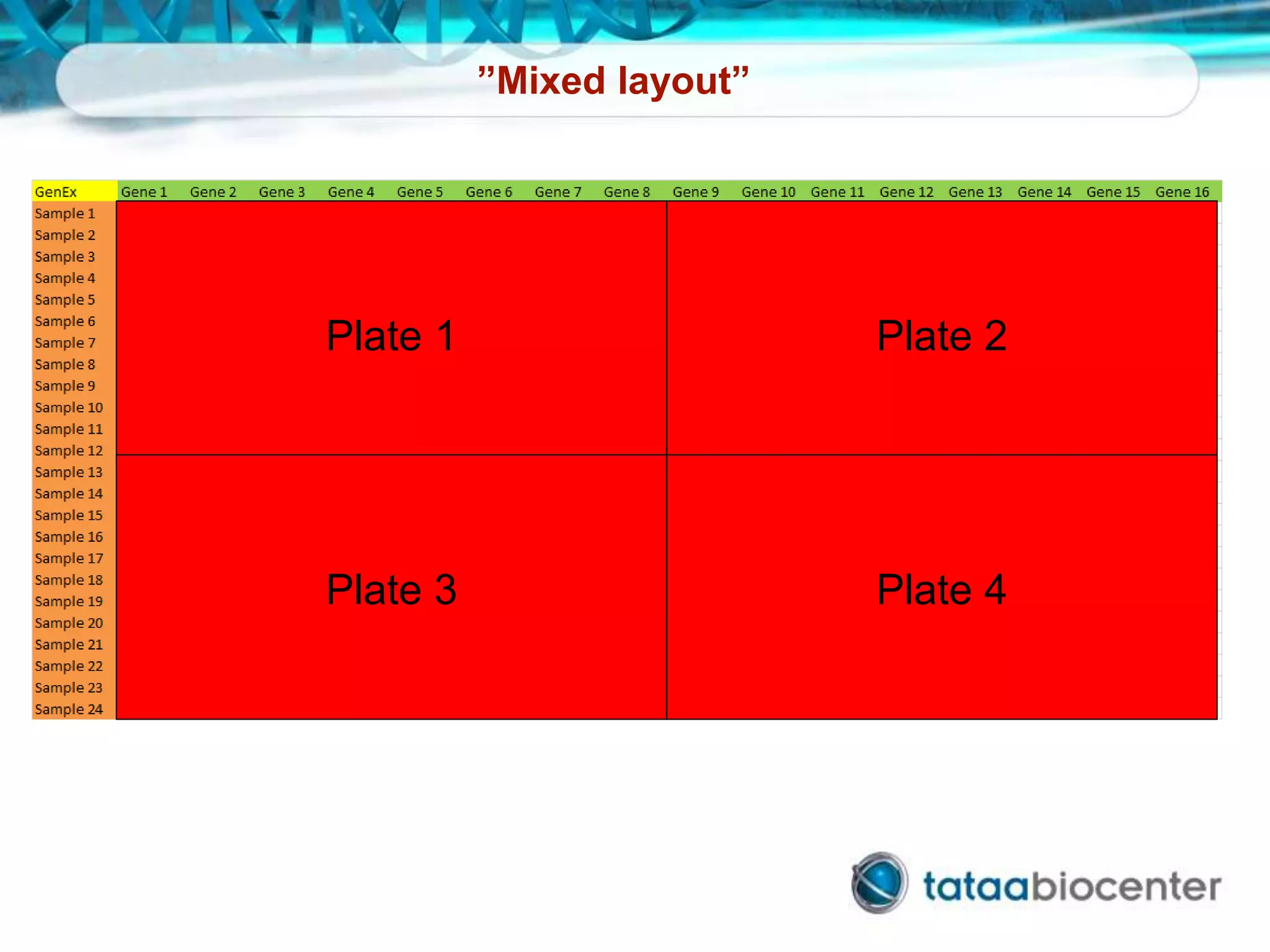 ”Mixed layout”
Plate 1 Plate 2
Plate 3 Plate 4
 