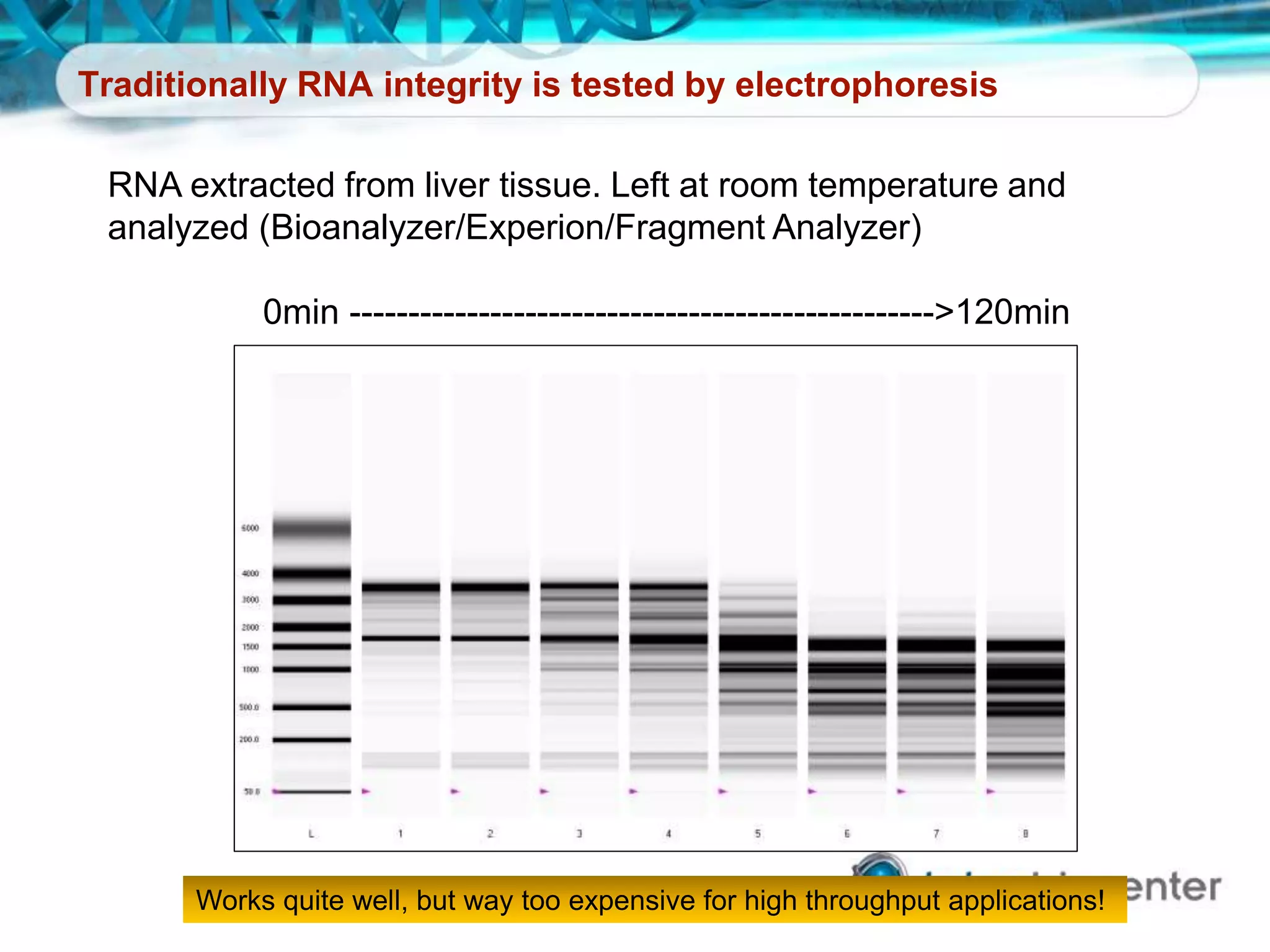 Traditionally RNA integrity is tested by electrophoresis
RNA extracted from liver tissue. Left at room temperature and
analyzed (Bioanalyzer/Experion/Fragment Analyzer)
0min -------------------------------------------------->120min
Works quite well, but way too expensive for high throughput applications!
 