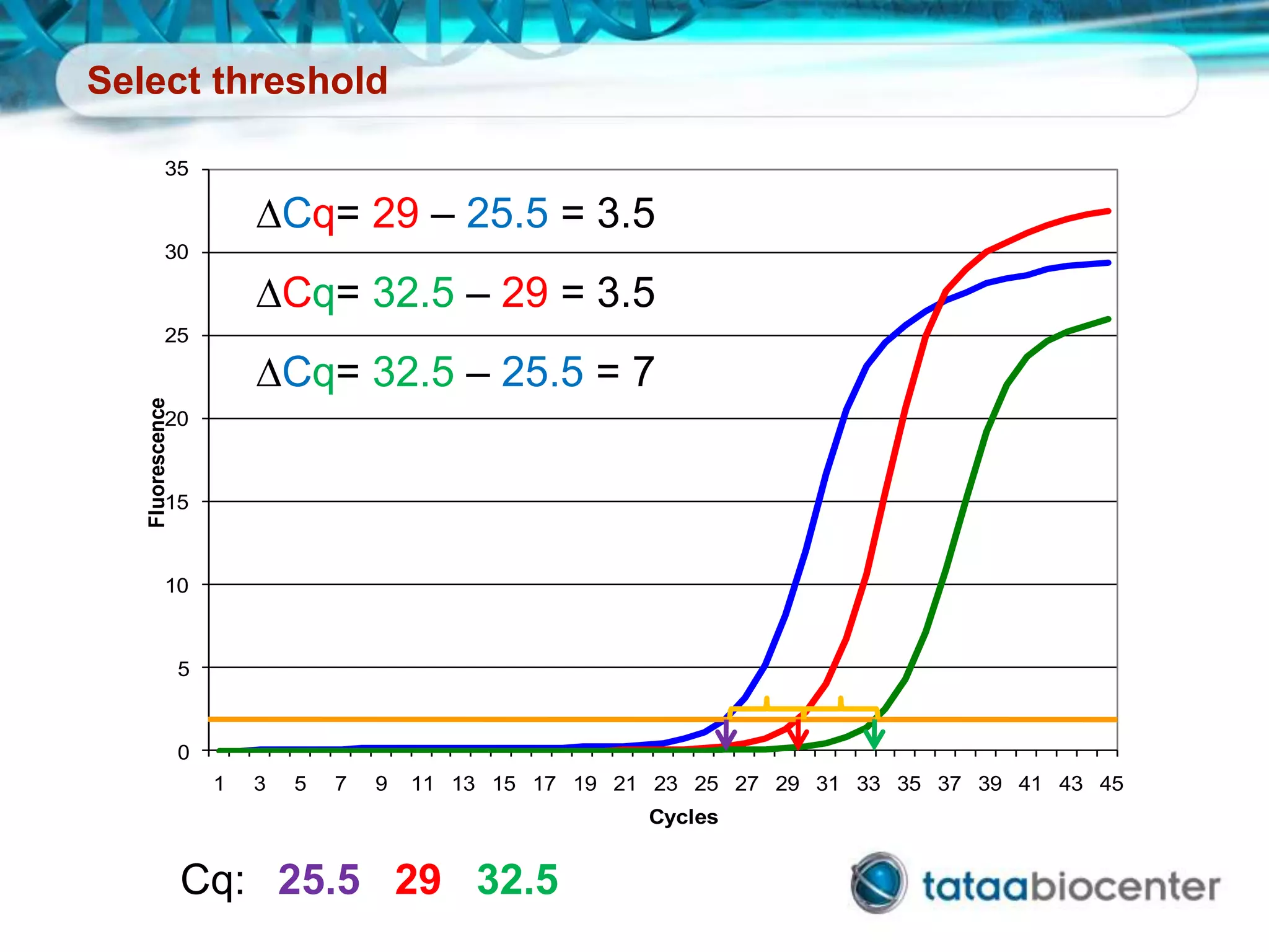 Select threshold
0
5
10
15
20
25
30
35
1 3 5 7 9 11 13 15 17 19 21 23 25 27 29 31 33 35 37 39 41 43 45
Fluorescence
Cycles
Cq: 25.5 29 32.5
DCq= 29 – 25.5 = 3.5
DCq= 32.5 – 25.5 = 7
DCq= 32.5 – 29 = 3.5
 