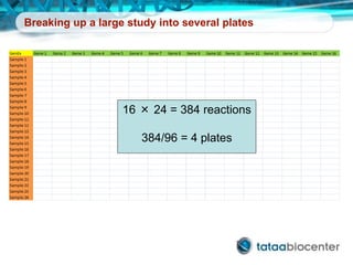 Breaking up a large study into several plates
16 × 24 = 384 reactions
384/96 = 4 plates
 