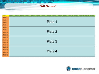 ”All Genes”
Plate 1
Plate 2
Plate 3
Plate 4
 