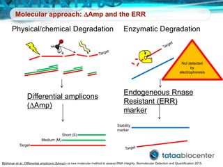 Molecular approach: DAmp and the ERR
Differential amplicons
(DAmp)
Target
Short (S)
Medium (M)
Physical/chemical Degradation
Björkman et al., Differential amplicons (ΔAmp)—a new molecular method to assess RNA integrity. Biomolecular Detection and Quantification 2015.
Enzymatic Degradation
Endogeneous Rnase
Resistant (ERR)
marker
Stability
marker
Not detected
by
electrophoresis
 