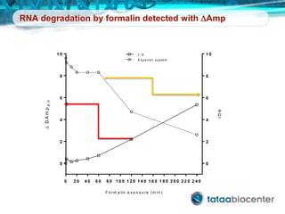 RNA degradation by formalin detected with DAmp
0 2 0 4 0 6 0 8 0 1 0 0 1 2 0 1 4 0 1 6 0 1 8 0 2 0 0 2 2 0 2 4 0
0
2
4
6
8
1 0
0
2
4
6
8
1 0
F o rm a lin e x p o s u re (m in )
DDAmpX-Y
RQI
L -S
E xp e rio n system
 