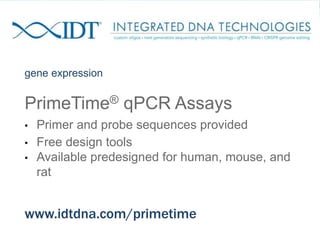gene expression
PrimeTime® qPCR Assays
• Primer and probe sequences provided
• Free design tools
• Available predesigned for human, mouse, and
rat
www.idtdna.com/primetime
 