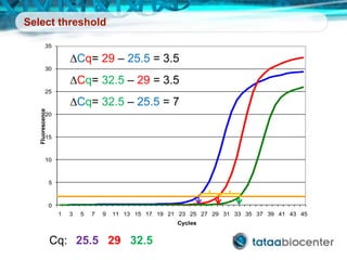 Select threshold
0
5
10
15
20
25
30
35
1 3 5 7 9 11 13 15 17 19 21 23 25 27 29 31 33 35 37 39 41 43 45
Fluorescence
Cycles
Cq: 25.5 29 32.5
DCq= 29 – 25.5 = 3.5
DCq= 32.5 – 25.5 = 7
DCq= 32.5 – 29 = 3.5
 