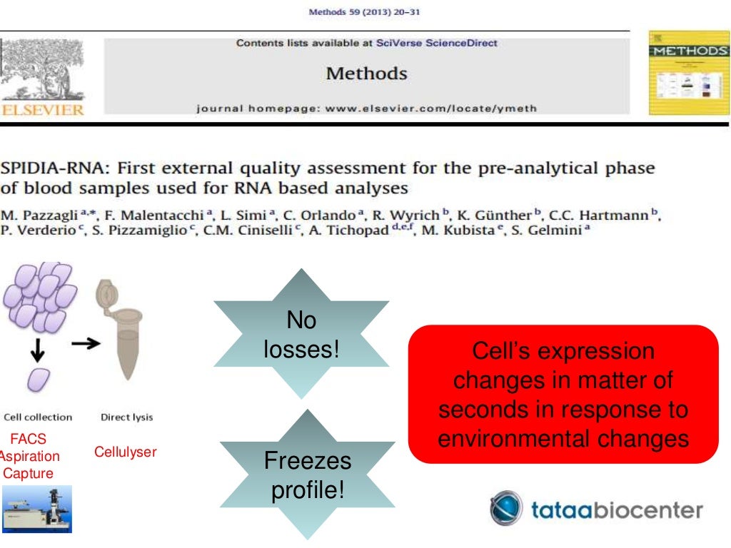 High throughput qPCR tips for analysis across multiple plates