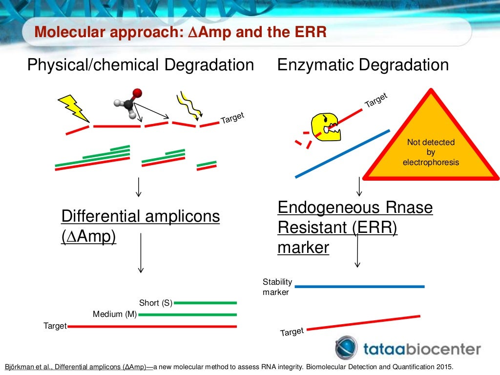High throughput qPCR tips for analysis across multiple plates