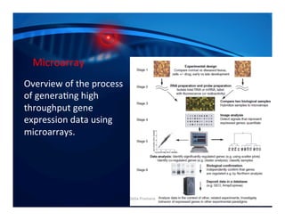 High throughput Data Analysis | PPTX