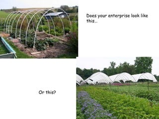 Does your enterprise look like this… Or this? 